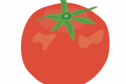 【超画像】トマト一個198円(税抜き)ｗｗｗｗｗｗｗｗｗｗｗｗｗｗｗｗｗｗｗｗｗｗｗｗｗｗｗ
