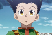 「HUNTER×HUNTER」の主人公・ゴンの念能力が地味すぎるんだが・・・