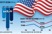 関税のせいなの？　〜　現代自動車と起亜自動車、米国の25％関税により業績が急ブレーキ＝韓国