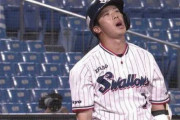 山田哲人(29)都内在住、年収5億