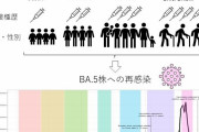 国立感染症研究所　コロナワクチン接種のBA.5再感染予防効果、1回接種と比較して、2回接種 7％、3回接種 33％、4回接種 66％　[9/27]