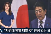 #韓国　『反省しない日本。安倍は自衛隊強化を狙い、右翼は戦犯を崇拝』、『安倍を殺す義士さえいれば』