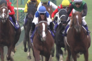 【競馬】2歳時に3戦3勝以上の重賞馬って およそ間違いないよね