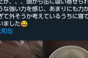 【悲報】250万円のテスラ缶を低コスト化した「大和缶」、ガチで効きすぎて自作する人が続出してしまう