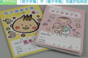 【速報】男性、反撃開始「じゃあ『母子手帳』は差別。『親子手帳』に変えろ」