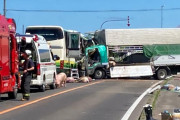 都市間バスとブタを積んだ大型トラック正面衝突乗客と運転手の計５人死亡12人けが北海道八雲町 |  バスがヤダとか言ってる輩いるが、