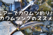 【針ワザ＆実釣】秋の里川で「カワムツ」のルアーフィッシング!　数釣りOK!　