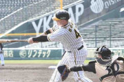阪神・ボーア　ＯＰ戦待望の初安打は甲子園で　シフト破り逆方向へ