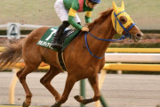 【ダイヤモンドS】7着タガノディアマンテ川田騎手「右への逃避がすごくて競馬になりませんでした」
