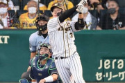 【虎になれ】野村監督なら大山悠輔に「一発ヤマを張ってやれ！」と言うはず