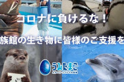 「ライオンが傷を付けたジーンズ」「カワウソの手形」 動物園、水族館のクラウドファンディングが好調