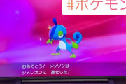 インスタのポケモン復帰勢「メッソンからジメレオンに進化してかわいさ無くなった泣」