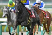 【悲報】ワイ競走馬、練習中に骨折