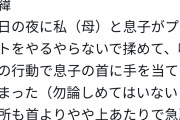 【画像】母親「息子の首を少し締めただけで児童相談所に拉致された！返して！ｗｗｗｗ」