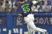 セリーグ本塁打、1位村上48本、2位丸岡本24本←これ