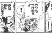 【ワンピース】ルフィ「俺は剣を使えねェし海図も読めねェ！料理も作れねェし嘘もつけねェ！」