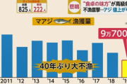40年ぶり大不漁で「アジ」の価格高騰　前年の倍も…”庶民の味方”が高級魚に･･･