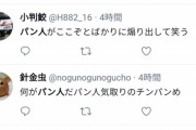 【悲報】撮り鉄、叩かれまくって激怒「『パン人』もどっこいどっこい」