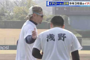 高松商・浅野がインスタでフォローしてるプロ野球選手wwwwwww