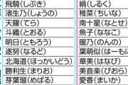 キラキラネームさん、逮捕