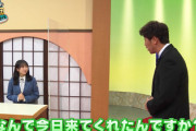 【日向坂46】正直すぎる発言w 上村ひなの『なんでも鑑定団』出演の模様がこちら！