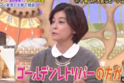 高嶋ちさ子「男の子が産まれたらハズレ、精神年齢低いし犬以下の知能ですよ笑」