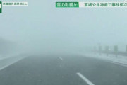 【画像】東北道で起こった多重事故の現場が…