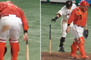 カープ會澤翼、巨人吉川のバットを立てる！石原慶幸から受け継いだ伝統芸