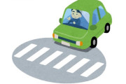 韓国人「車を強制的に止める横断歩道をご覧ください」→「韓国への導入が急がれる（泣）」