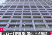 【緊急】今話題の変異種の新型コロナウイルスに感染した人が日本で確認される