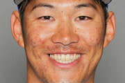 京田陽太という選手について知っている事