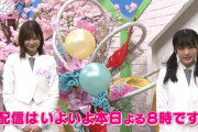 いよいよ20時から！大好き櫻坂Twitter企画ラストを飾った櫻坂46原田葵×渡邉理佐によるクイズ正解発表＆放送告知動画が公開