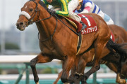 【競馬】　サトノフラッグ国枝師「皐月賞はもっと接戦出来ると思ったし、ダービーも試行錯誤でモヤモヤが残った」