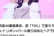 【悲報】櫻坂46さん数字指標に乖離がありすぎる【疑惑】