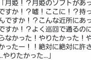 【悲報】宮城のオタク警察官、被害者の女さんのゲームをプレイしたがる