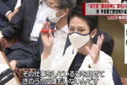 【民間団体】蓮舫氏「国会議員が視察に行ったら誰もいなかった。何ですかこれ」→経産相「リモートワークですが」