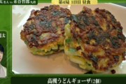 【将棋】「うどんで作ったぎょうざ」？藤井聡太名人の勝負メシ“高槻うどんギョーザ”が話題 に