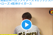 【悲報】阪神公式ツイッター、やらかすwwwwwwwwww