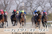 2/20(日)第39回フェブラリーステークス(GI) Part4