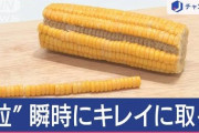 楽韓さん、本日の動向 - お、このトウモロコシの取りかたは実践してみたい