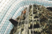植物園とかいうめちゃくちゃ楽しめてコスパ最強の施設が不人気な理由ｗｗｗ