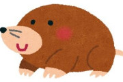 【悲報】『モグラ』がモチーフのキャラクター、この世に存在しない