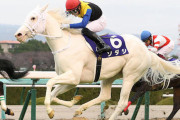 海外 「彼女はマジカル！」世界初！白毛馬がG1制覇【ソダシ 阪神JF】