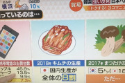 【必死ｗ】ＴＢＳ「韓国が日本に輸出しなくなったら困るもの！GALAXY！キムチ！松茸！」