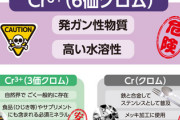 【衝撃】中国自動車、日本向けEVに有毒『六価クロム』を使用「なーに、今後は使わないから^^;」←相当やばいってこと？