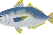 ｢アジって全然青くないのに青魚？｣→理由がコレで一同納得