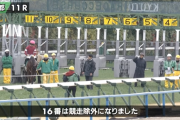 【シルクロードS】ソンシ競走除外