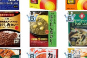 【急募】おいしいレトルトカレーについて