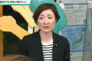 【悲報】 日本の若者 「外国人に選挙権を与えるべきと思う」日本共産党・れいわ新選組「その通り」