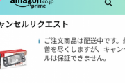 【速報】ついにSwitchライト買った